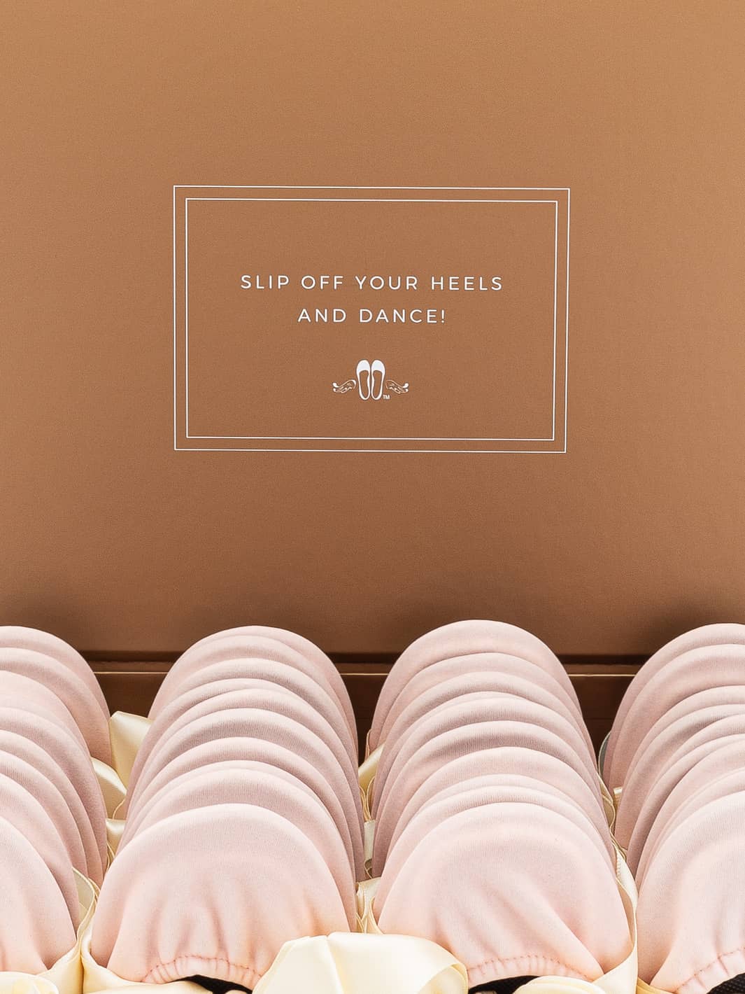 20 Pairs of Light Pink Velvet Rescue Flats (Rose GOLD Display Box)